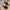 Moccasins